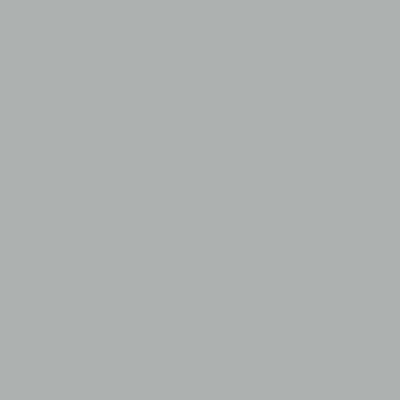 10905-T Silver