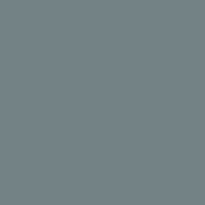 15349-T Fossil