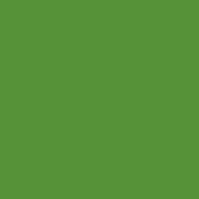 16901-T Vibrant Green