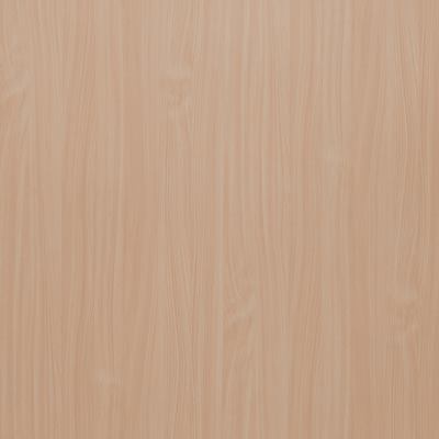 205-A Colorado Elm