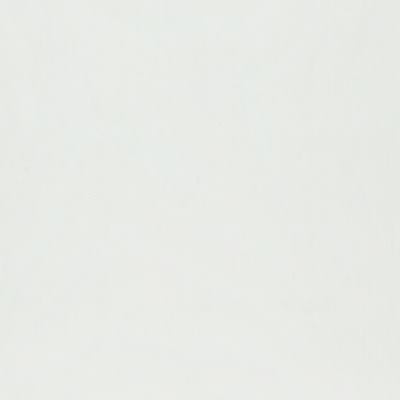 242-T Satin White