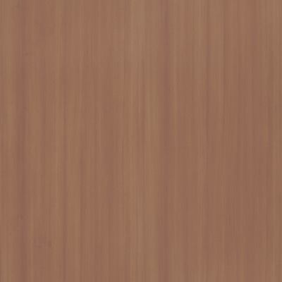 305-B Baverian Beech