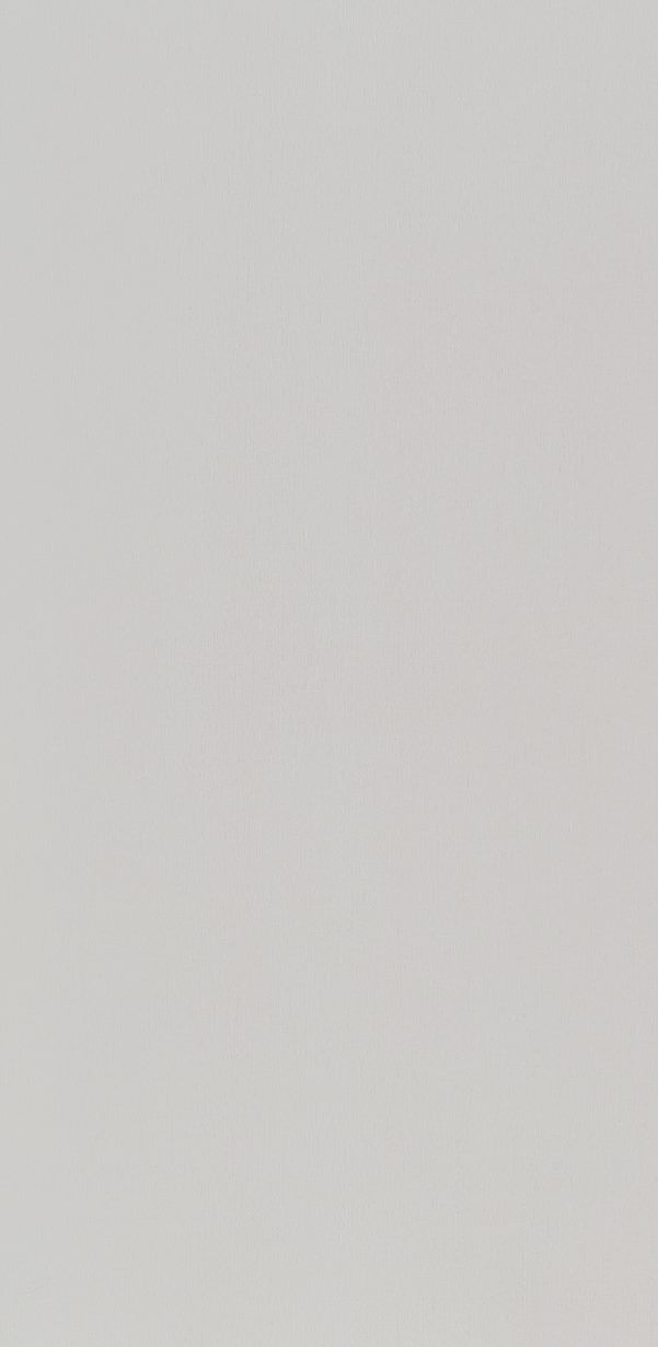 50450-NT Ivory Wood Maple lamina HPL